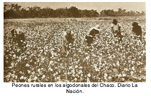 Peones rurales en los algodonales del Chaco. Diario La Nacin.  
