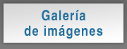 Galería de Imágnes